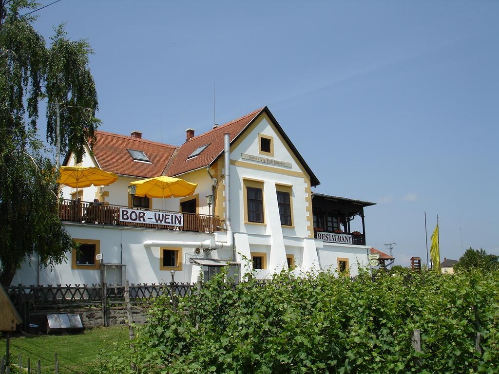 Bacchus Apartman - Borbarlang, Badacsony Бадачоньтомай Экстерьер фото