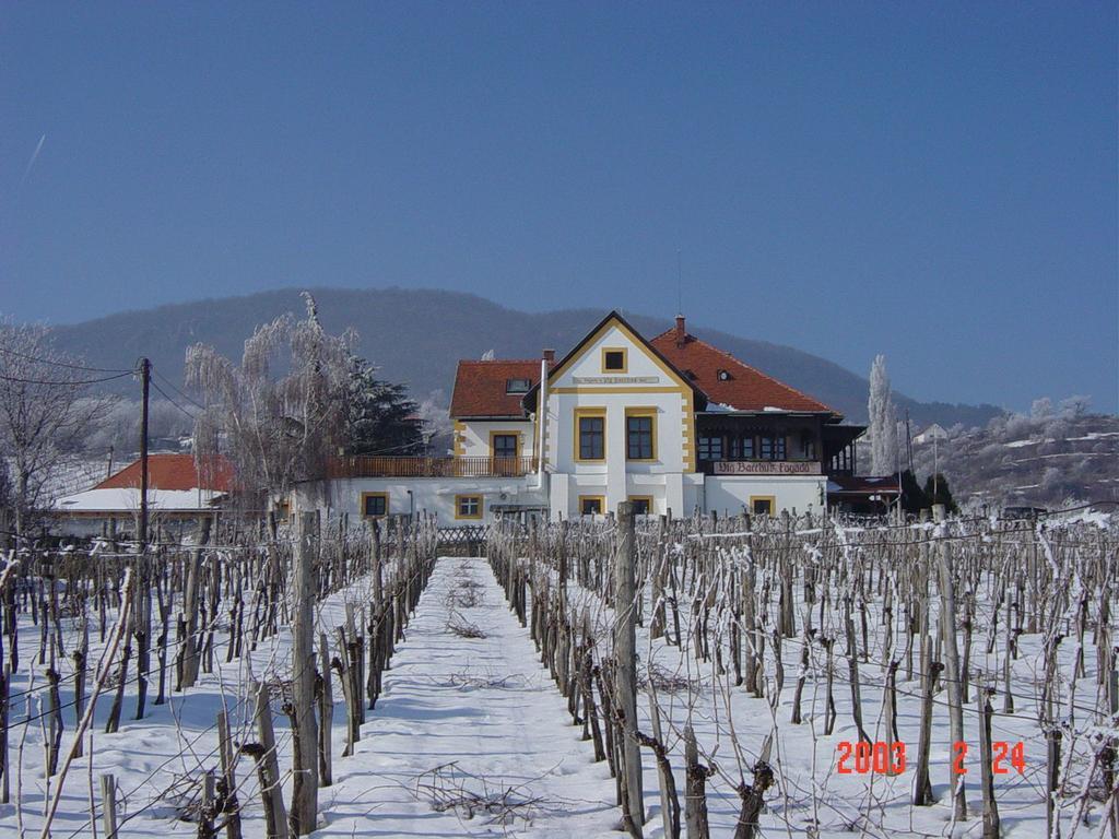 Bacchus Apartman - Borbarlang, Badacsony Бадачоньтомай Экстерьер фото